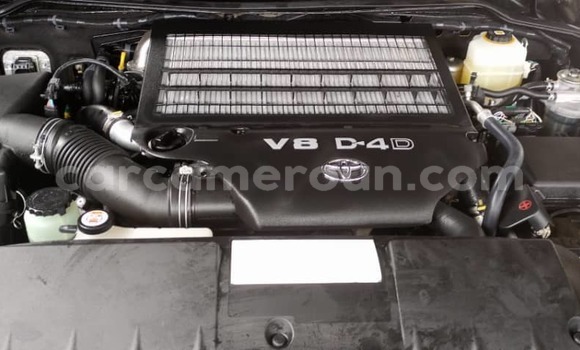 Buy New Toyota Land Cruiser Black Car in Douala in Littoral Cameroon Buy New Toyota Land Cruiser Black Car in Douala in Littoral Cameroon