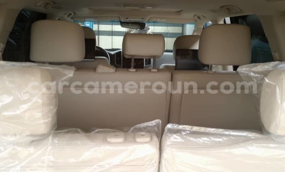 Buy New Toyota Land Cruiser Black Car in Douala in Littoral Cameroon Buy New Toyota Land Cruiser Black Car in Douala in Littoral Cameroon
