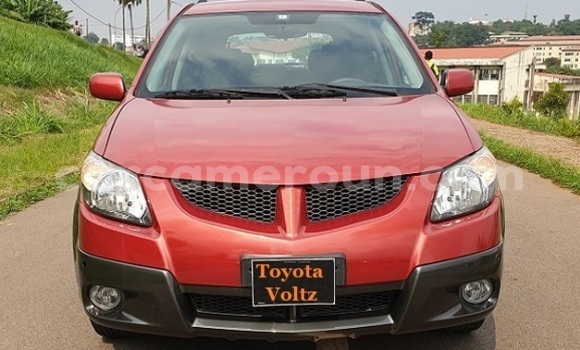 Buy New Toyota Voltz Red Car in Yaounde in Central Cameroon Buy New Toyota Voltz Red Car in Yaounde in Central Cameroon