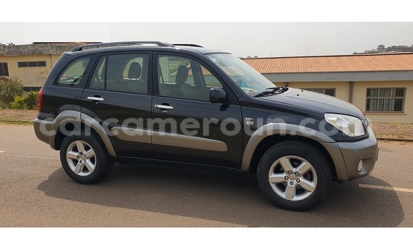 Buy New Toyota RAV4 Black Car in Yaounde in Central Cameroon Buy New Toyota RAV4 Black Car in Yaounde in Central Cameroon