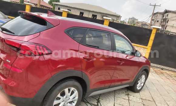 Buy Import Hyundai Tucson Red Car in Douala in Littoral Cameroon Buy Import Hyundai Tucson Red Car in Douala in Littoral Cameroon