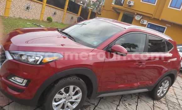 Buy Import Hyundai Tucson Red Car in Douala in Littoral Cameroon Buy Import Hyundai Tucson Red Car in Douala in Littoral Cameroon