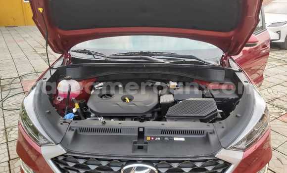 Buy Import Hyundai Tucson Red Car in Douala in Littoral Cameroon Buy Import Hyundai Tucson Red Car in Douala in Littoral Cameroon