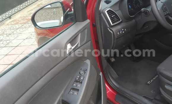 Buy Import Hyundai Tucson Red Car in Douala in Littoral Cameroon Buy Import Hyundai Tucson Red Car in Douala in Littoral Cameroon