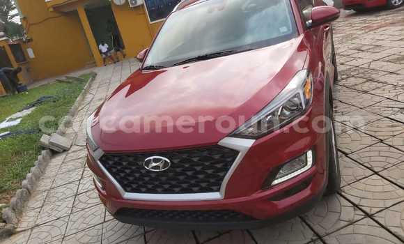 Buy Import Hyundai Tucson Red Car in Douala in Littoral Cameroon Buy Import Hyundai Tucson Red Car in Douala in Littoral Cameroon