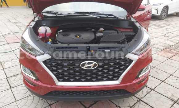 Buy Import Hyundai Tucson Red Car in Douala in Littoral Cameroon Buy Import Hyundai Tucson Red Car in Douala in Littoral Cameroon