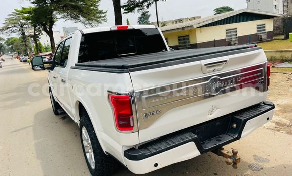 Buy Import Ford F–150 White Car in Douala in Littoral Cameroon Buy Import Ford F–150 White Car in Douala in Littoral Cameroon