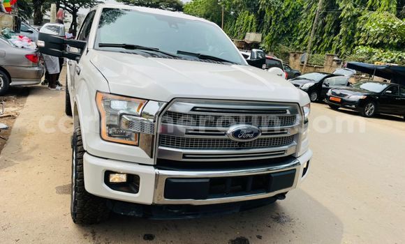 Buy Import Ford F–150 White Car in Douala in Littoral Cameroon Buy Import Ford F–150 White Car in Douala in Littoral Cameroon