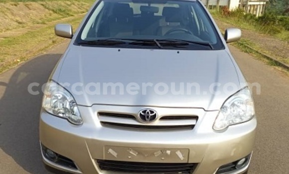 Buy New Toyota Corolla Silver Car in Yaounde in Central Cameroon Buy New Toyota Corolla Silver Car in Yaounde in Central Cameroon