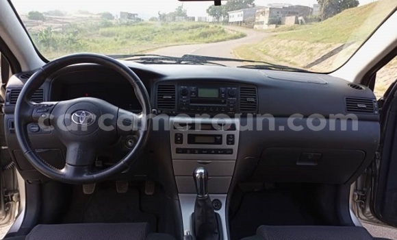 Buy New Toyota Corolla Silver Car in Yaounde in Central Cameroon Buy New Toyota Corolla Silver Car in Yaounde in Central Cameroon