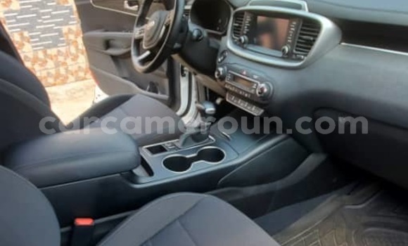 Buy Import Kia Sorento White Car in Douala in Littoral Cameroon Buy Import Kia Sorento White Car in Douala in Littoral Cameroon