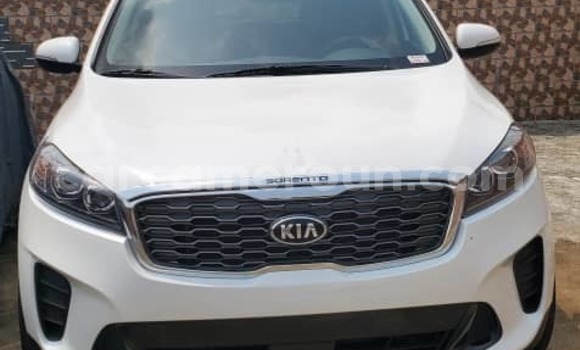 Buy Import Kia Sorento White Car in Douala in Littoral Cameroon Buy Import Kia Sorento White Car in Douala in Littoral Cameroon