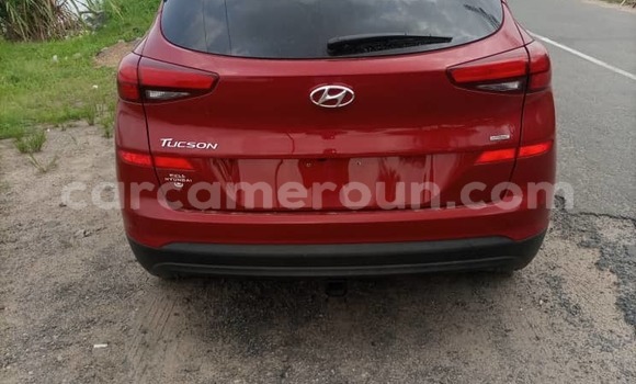 Sayi Imported Hyundai Tucson Red Mota in Douala a Ƙasar Kamaru Sayi Imported Hyundai Tucson Red Mota in Douala a Ƙasar Kamaru