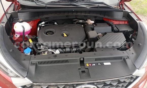 Sayi Imported Hyundai Tucson Red Mota in Douala a Ƙasar Kamaru Sayi Imported Hyundai Tucson Red Mota in Douala a Ƙasar Kamaru