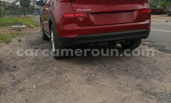 Sayi Imported Hyundai Tucson Red Mota in Douala a Ƙasar Kamaru Sayi Imported Hyundai Tucson Red Mota in Douala a Ƙasar Kamaru