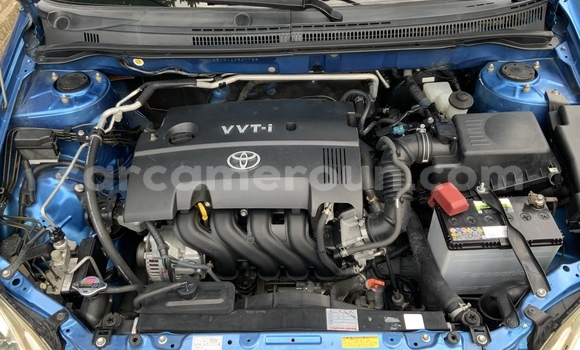 Acheter Occasion Voiture Toyota Runx Bleu à Douala, Littoral Cameroon Acheter Occasion Voiture Toyota Runx Bleu à Douala, Littoral Cameroon