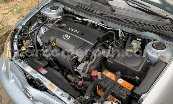 Acheter Occasion Voiture Toyota Runx Bleu à Douala, Littoral Cameroon Acheter Occasion Voiture Toyota Runx Bleu à Douala, Littoral Cameroon