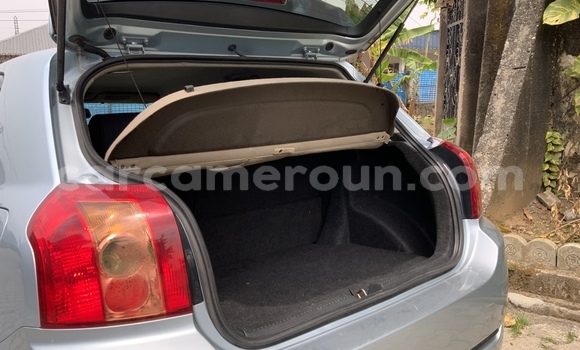 Acheter Occasion Voiture Toyota Runx Bleu à Douala, Littoral Cameroon Acheter Occasion Voiture Toyota Runx Bleu à Douala, Littoral Cameroon