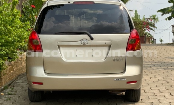 Acheter Occasion Voiture Toyota Spacio Beige à Douala, Littoral Cameroon Acheter Occasion Voiture Toyota Spacio Beige à Douala, Littoral Cameroon