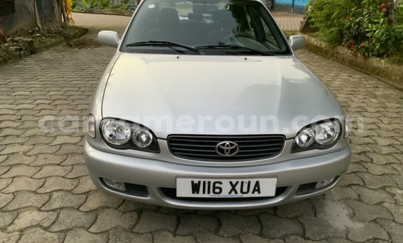 Acheter Occasion Voiture Toyota Corolla Gris à Douala, Littoral Cameroon Acheter Occasion Voiture Toyota Corolla Gris à Douala, Littoral Cameroon