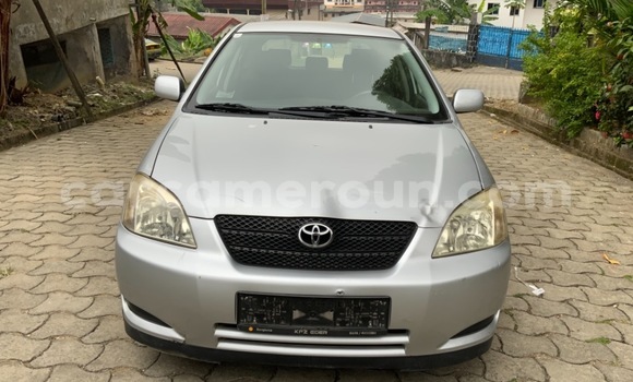 Acheter Occasion Voiture Toyota Corolla Gris à Douala, Littoral Cameroon Acheter Occasion Voiture Toyota Corolla Gris à Douala, Littoral Cameroon