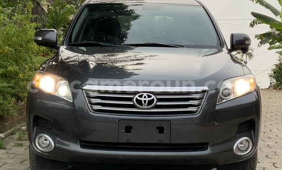 Acheter Occasion Voiture Toyota Vanguard Gris à Douala, Littoral Cameroon Acheter Occasion Voiture Toyota Vanguard Gris à Douala, Littoral Cameroon