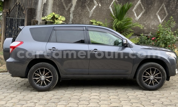 Acheter Occasion Voiture Toyota Vanguard Gris à Douala, Littoral Cameroon Acheter Occasion Voiture Toyota Vanguard Gris à Douala, Littoral Cameroon