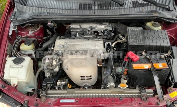 Acheter Occasion Voiture Toyota Picnic Rouge à Douala, Littoral Cameroon Acheter Occasion Voiture Toyota Picnic Rouge à Douala, Littoral Cameroon