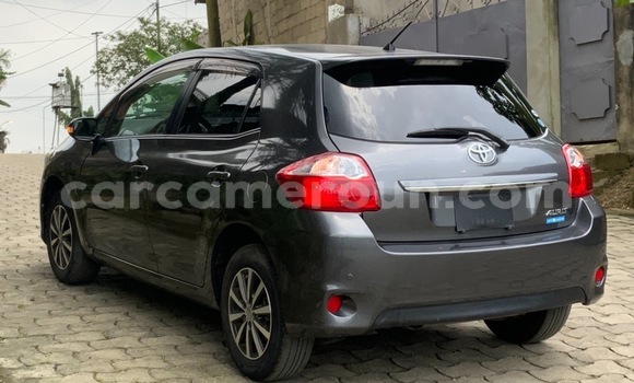 Acheter Occasion Voiture Toyota Auris Gris à Douala, Littoral Cameroon Acheter Occasion Voiture Toyota Auris Gris à Douala, Littoral Cameroon