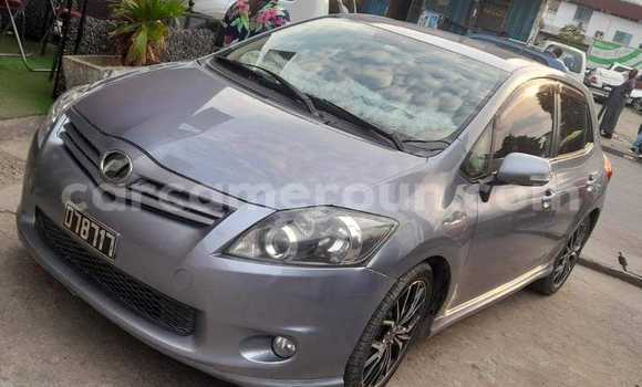Buy New Toyota Auris Silver Car in Douala in Littoral Cameroon Buy New Toyota Auris Silver Car in Douala in Littoral Cameroon