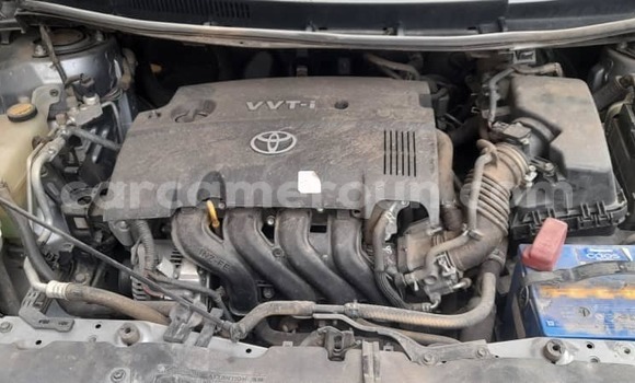 Buy New Toyota Auris Silver Car in Douala in Littoral Cameroon Buy New Toyota Auris Silver Car in Douala in Littoral Cameroon