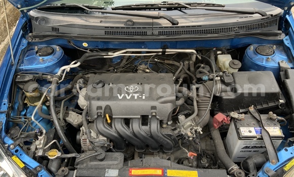Acheter Occasion Voiture Toyota Runx Bleu à Douala, Littoral Cameroon Acheter Occasion Voiture Toyota Runx Bleu à Douala, Littoral Cameroon