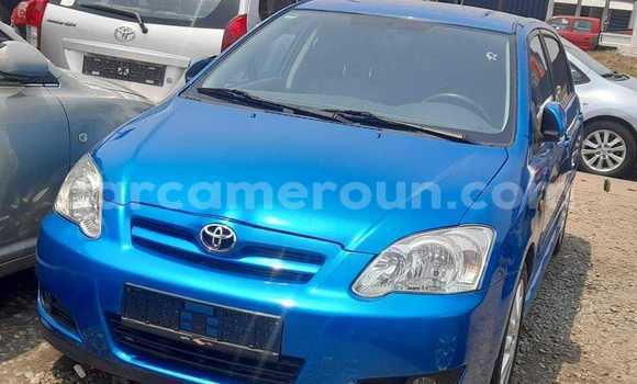 Sayi Sabo Toyota Corolla Sauran Mota in Douala a Ƙasar Kamaru Sayi Sabo Toyota Corolla Sauran Mota in Douala a Ƙasar Kamaru