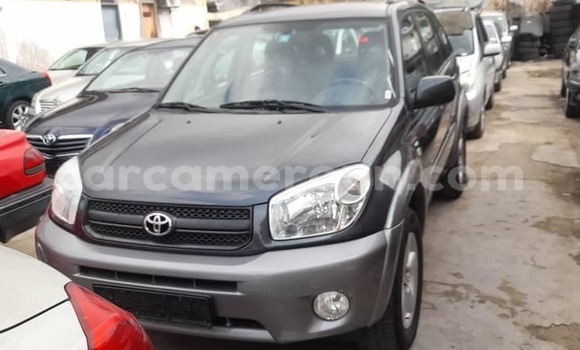 Acheter Neuf Voiture Toyota RAV4 Gris à Douala, Littoral Cameroon Acheter Neuf Voiture Toyota RAV4 Gris à Douala, Littoral Cameroon