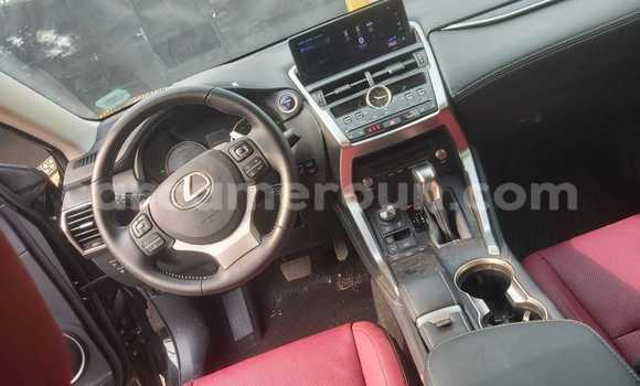 Buy Used Lexus NX Black Car in Douala in Littoral Cameroon Buy Used Lexus NX Black Car in Douala in Littoral Cameroon