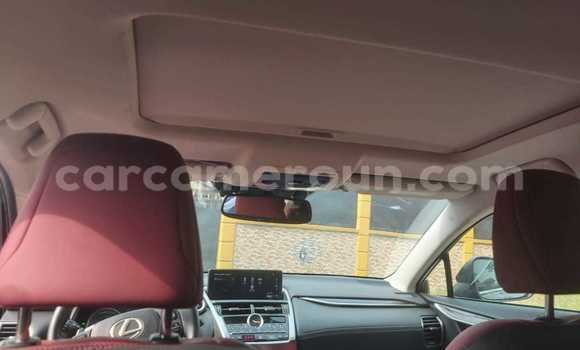 Buy Used Lexus NX Black Car in Douala in Littoral Cameroon Buy Used Lexus NX Black Car in Douala in Littoral Cameroon