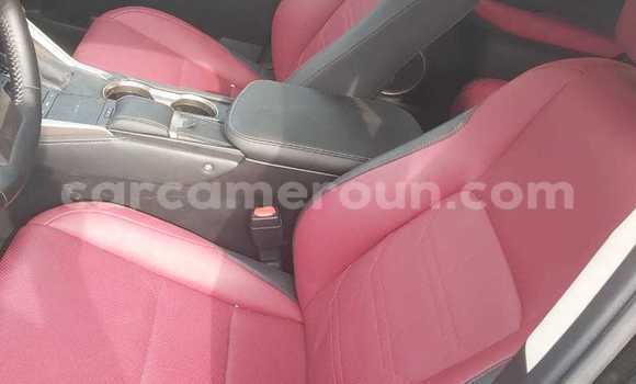 Buy Used Lexus NX Black Car in Douala in Littoral Cameroon Buy Used Lexus NX Black Car in Douala in Littoral Cameroon