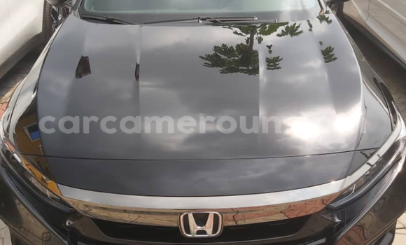 Sayi Na hannu Honda Accord Black Mota in Douala a Ƙasar Kamaru