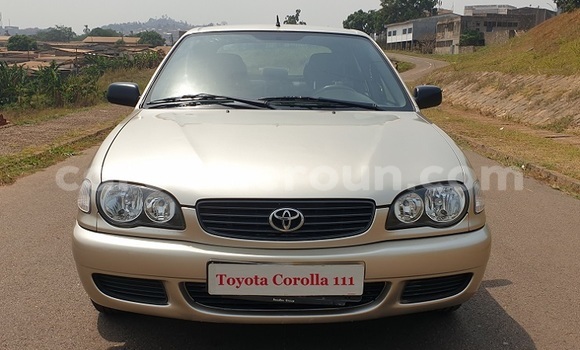 Buy New Toyota Corolla Other Car in Yaounde in Central Cameroon Buy New Toyota Corolla Other Car in Yaounde in Central Cameroon
