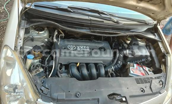 Acheter Occasion Voiture Toyota Corolla Verso Gris à Douala, Littoral Cameroon Acheter Occasion Voiture Toyota Corolla Verso Gris à Douala, Littoral Cameroon