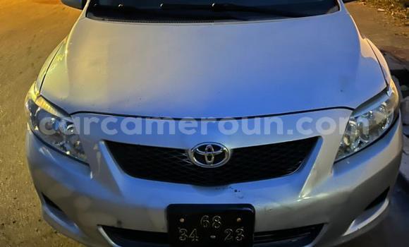 Acheter Import Voiture Toyota Corolla Gris à Douala, Littoral Cameroon Acheter Import Voiture Toyota Corolla Gris à Douala, Littoral Cameroon