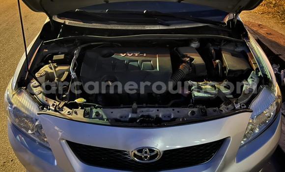 Acheter Import Voiture Toyota Corolla Gris à Douala, Littoral Cameroon Acheter Import Voiture Toyota Corolla Gris à Douala, Littoral Cameroon