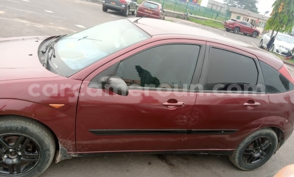 Buy Used FORD MUSTANG Brown Car in Douala in Littoral Cameroon Buy Used FORD MUSTANG Brown Car in Douala in Littoral Cameroon