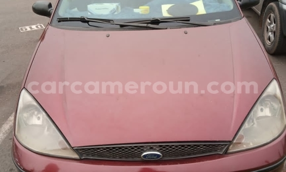 Buy Used FORD MUSTANG Brown Car in Douala in Littoral Cameroon Buy Used FORD MUSTANG Brown Car in Douala in Littoral Cameroon