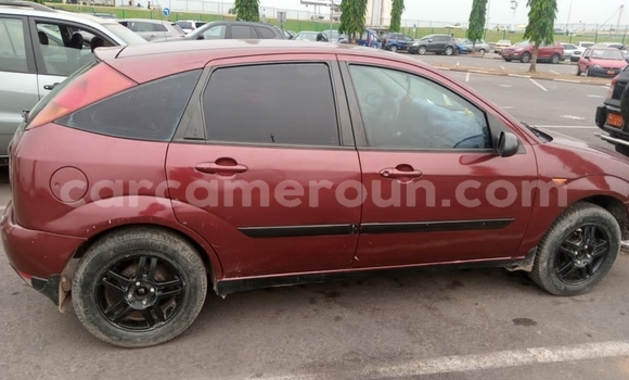 Buy Used FORD MUSTANG Brown Car in Douala in Littoral Cameroon Buy Used FORD MUSTANG Brown Car in Douala in Littoral Cameroon