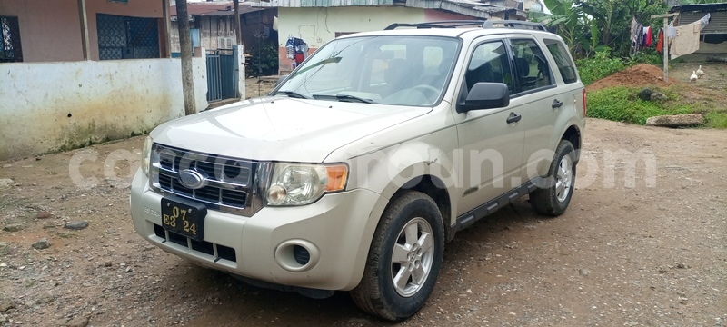 Big with watermark ford escape littoral cameroon douala 8470