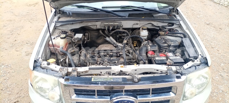 Big with watermark ford escape littoral cameroon douala 8470