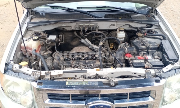 Sayi Na hannu Ford Escape White Mota in Douala a Ƙasar Kamaru Sayi Na hannu Ford Escape White Mota in Douala a Ƙasar Kamaru