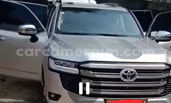 Sayi Na hannu Toyota Land Cruiser Azurfa Mota in Douala a Ƙasar Kamaru Sayi Na hannu Toyota Land Cruiser Azurfa Mota in Douala a Ƙasar Kamaru