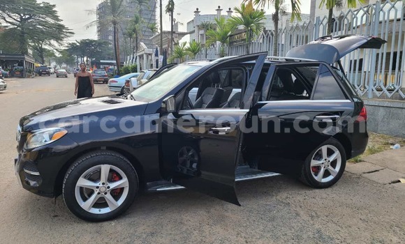 Buy Import Mercedes‒Benz GLE Black Car in Douala in Littoral Cameroon Buy Import Mercedes‒Benz GLE Black Car in Douala in Littoral Cameroon